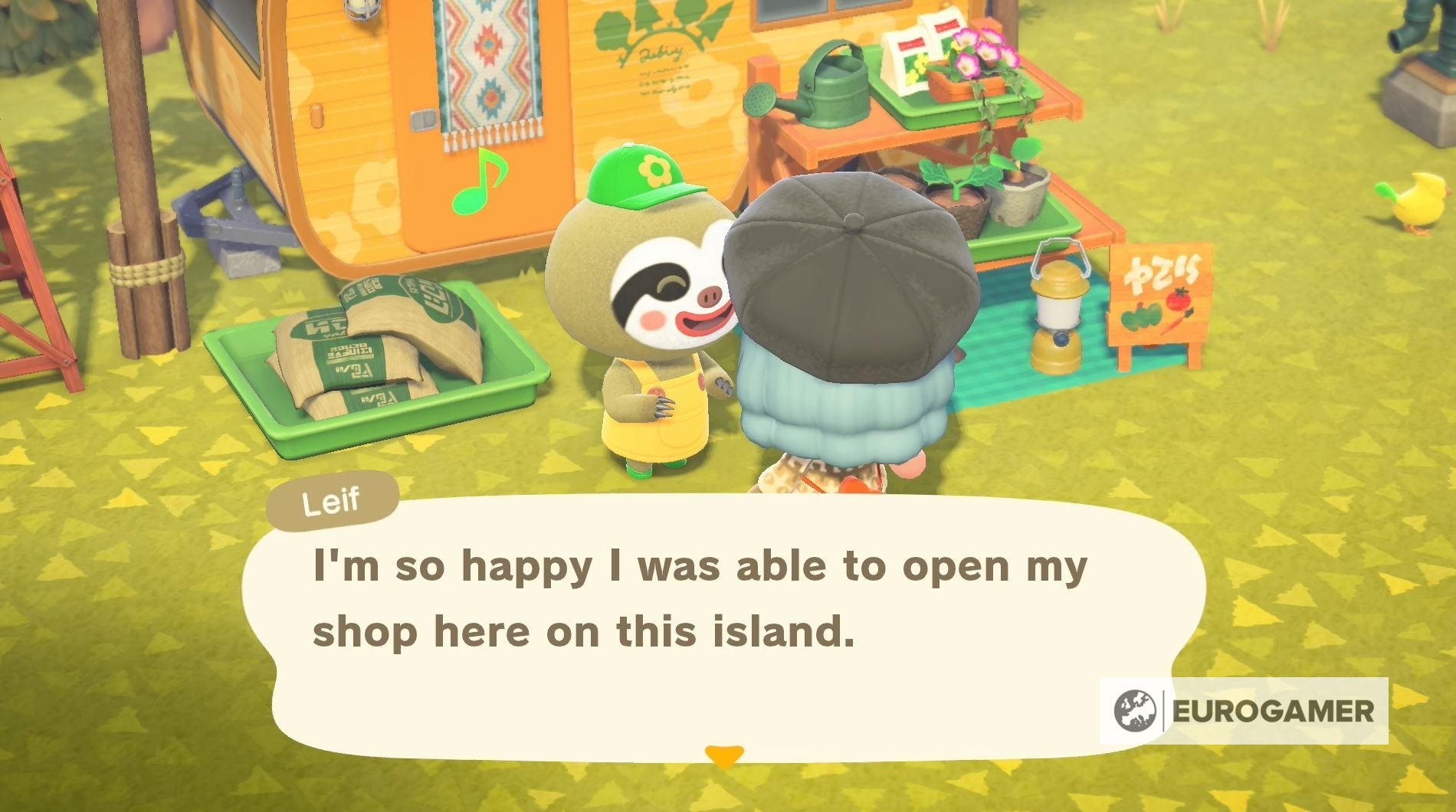 Animal Crossing Sugar How to grow sugarcane and find sugar in New